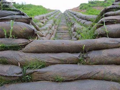 ���B�����w�S�o�������Ϙ���