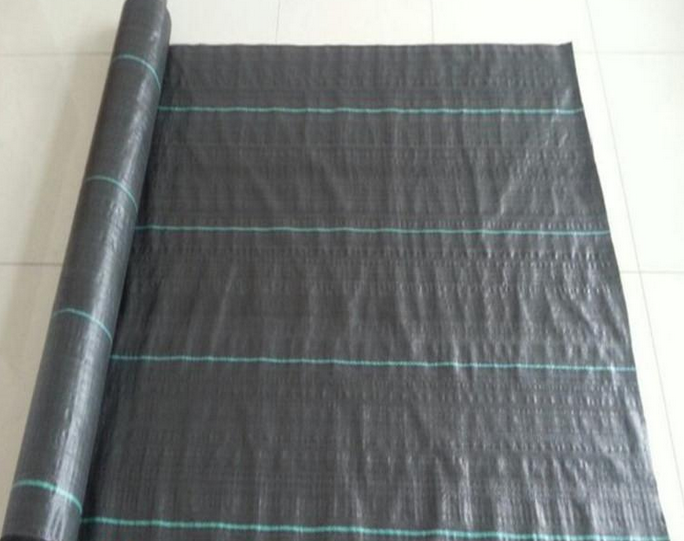 ���ݲ����a