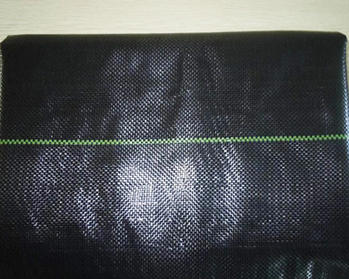 ���ݲ��S���N��