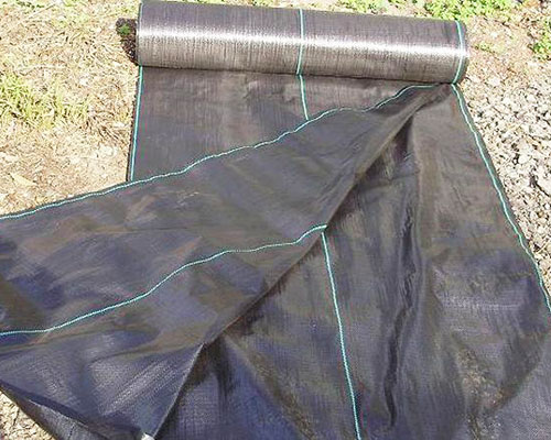 ���ݲ��S��