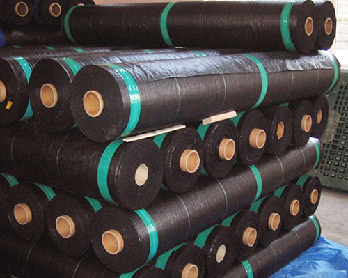 ���ݲ��S�ҹ���