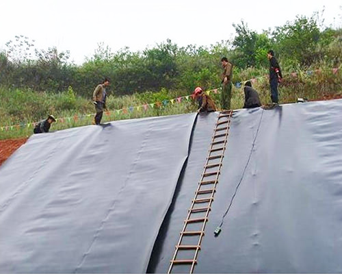 �ɹ�����