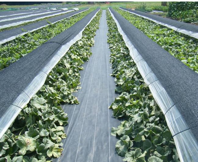 �r�÷��ݲ��ĸ��x���þ�����Ҫ���x