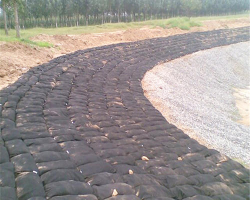 �|���o�����B��