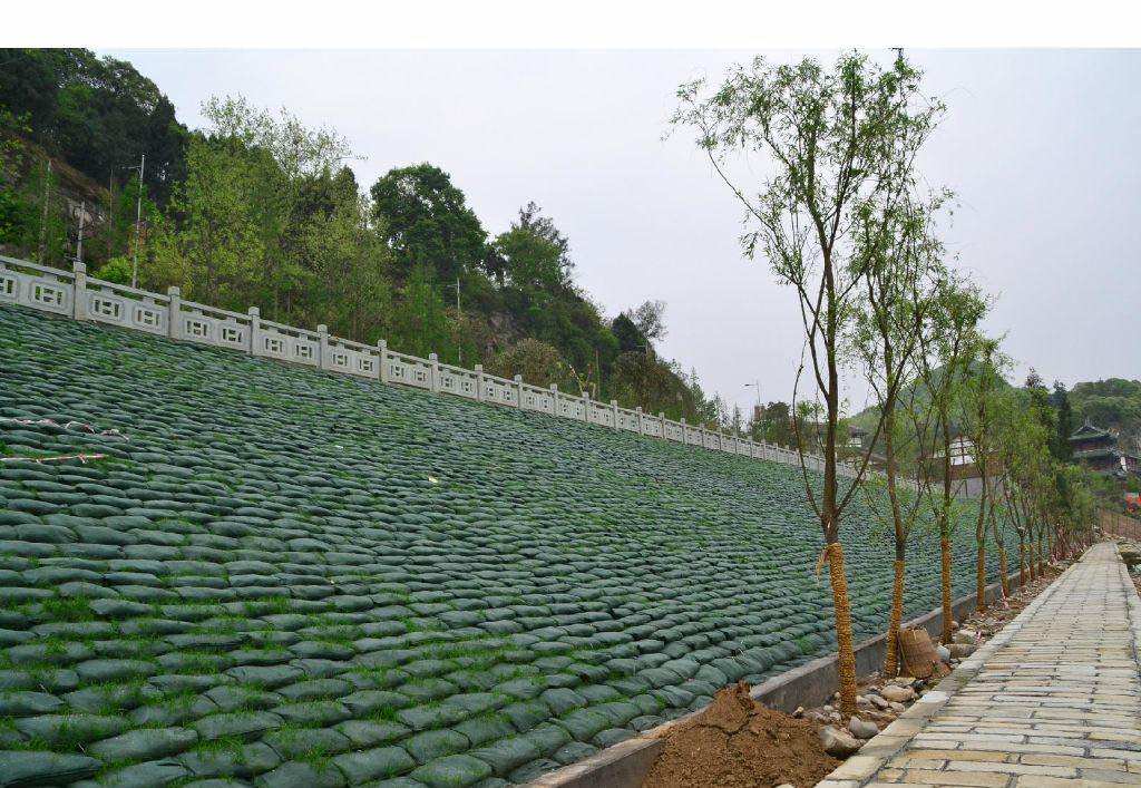 ���B�o��3