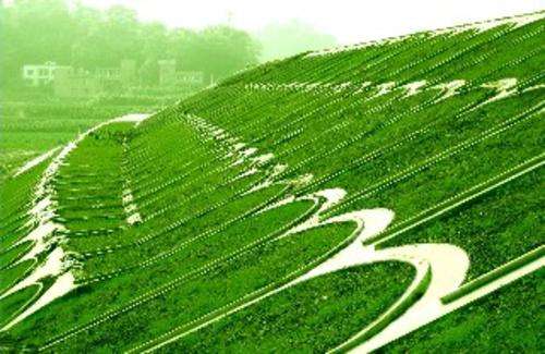 ���B�o��4