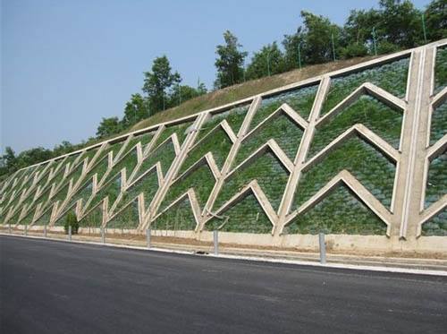 ���B�o��7