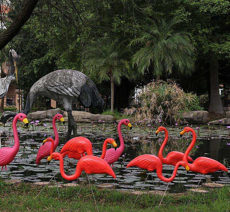 �@��������Ʒ5