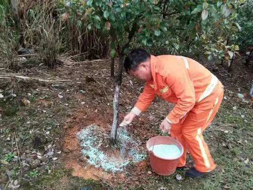 �@���B�oƷ5