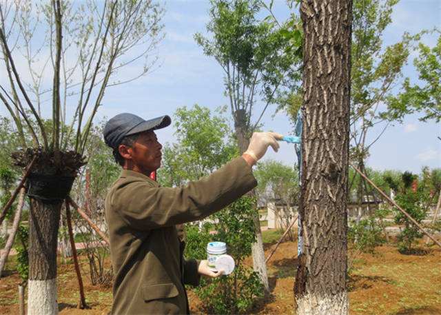 �@���B�oƷ6