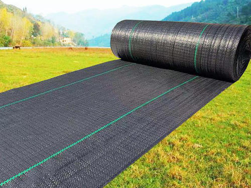 Ŀǰʲô���ݲ�����ð���