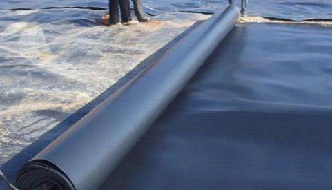 ���B���Ĳ��|��ʲô��