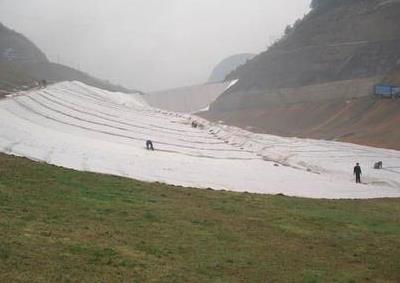 ���B�����o���g