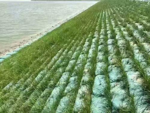 һ�w���o(h��)�²�̺����O(sh��)ʩ����������Щ��(y��u)�c(di��n)