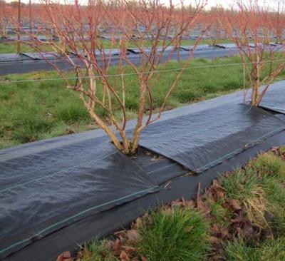 ���ݲ������Xһ��