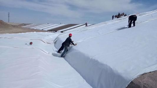 ����������;�c����